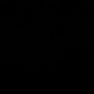 Meet your Posher, Teegin